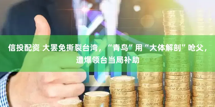 信投配资 大罢免撕裂台湾，“青鸟”用“大体解剖”呛父，遭爆领台当局补助